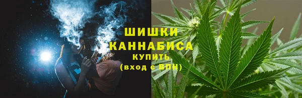 гидра Карталы