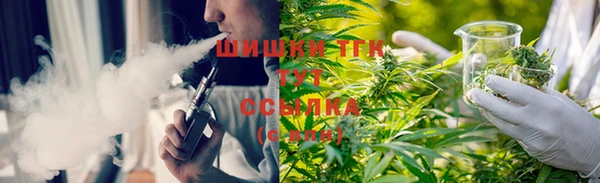 стаф Карпинск
