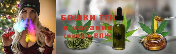 стаф Карпинск