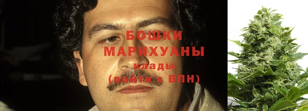 гидра Карталы