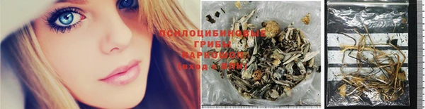 гидра Карталы