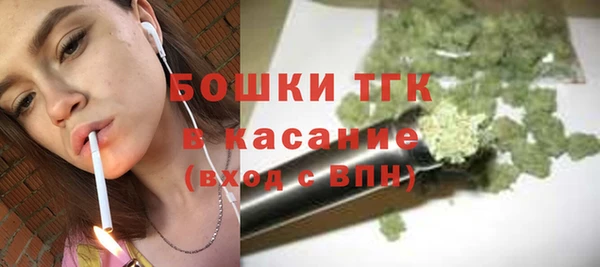 стаф Карпинск